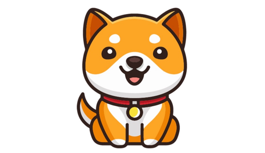 6 چیزی که باید قبل از خرید ارز دیجیتال بیبی دوج کوین (BabyDoge) در سال 2022 بدانید