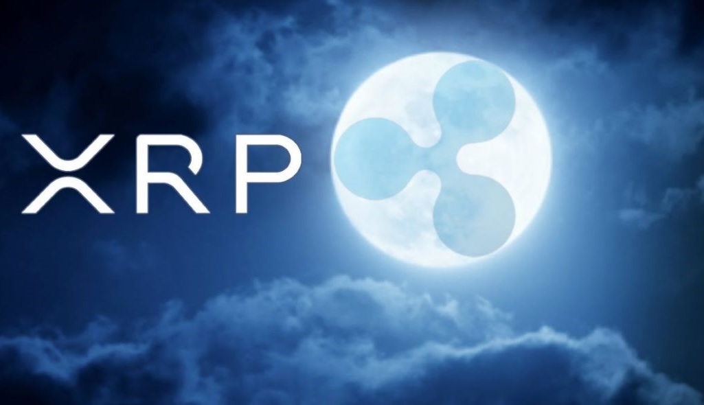 جهش قیمت در انتظار ریپل ؛ نهنگ های XRP همچنان حریصانه انباشت میکنند