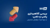 پامپ و دامپ