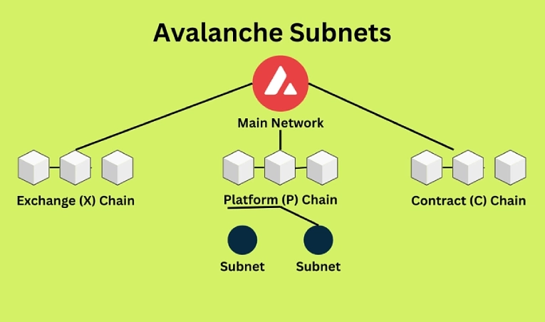 ساختار و معماری شبکه آوالانچ
