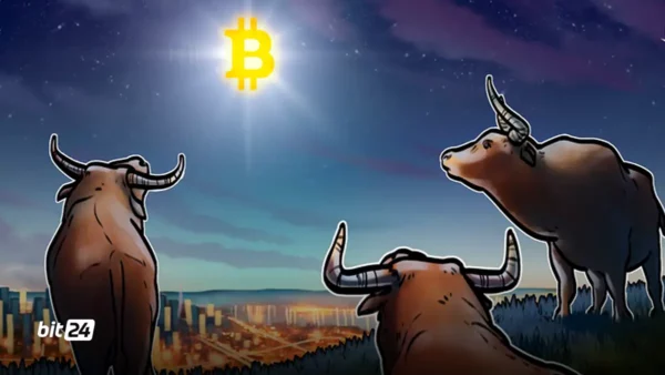 استمرار بازار گاوی با وجود احتمال ریزش ۳۰ درصدی بیت کوین