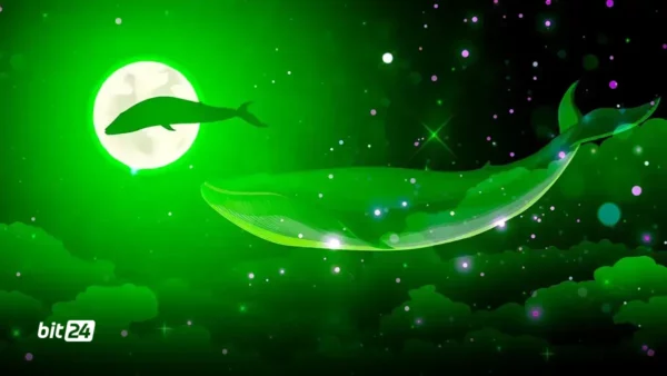 انباشت ۱.۰۳۵ میلیون ETH توسط نهنگ‌های ناشناس از ۱۰ ژوئیه