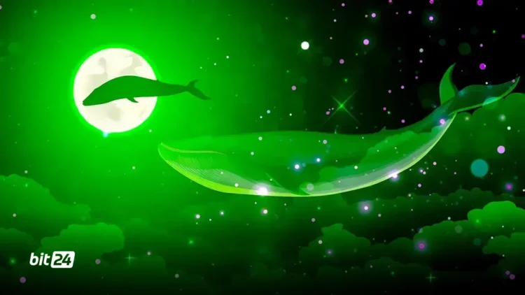 انباشت ۱.۰۳۵ میلیون ETH توسط نهنگ‌های ناشناس از ۱۰ ژوئیه