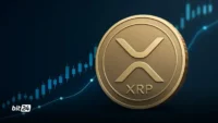 نهنگ‌ها در اوج ریزش بازار ۴۴۰ میلیون XRP خریدند