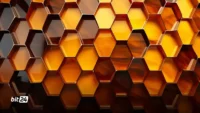 هایو (HIVE) در Q1 سال مالی 2026 به رکورد 45.6 میلیون دلار رسید