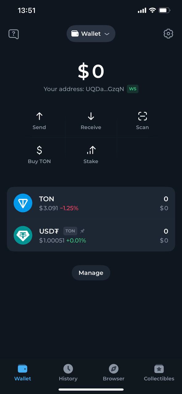 استیکینگ TON