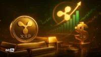 ریپل به‌دنبال جمع‌آوری یک میلیارد دلار برای راه‌اندازی خزانه‌داری XRP