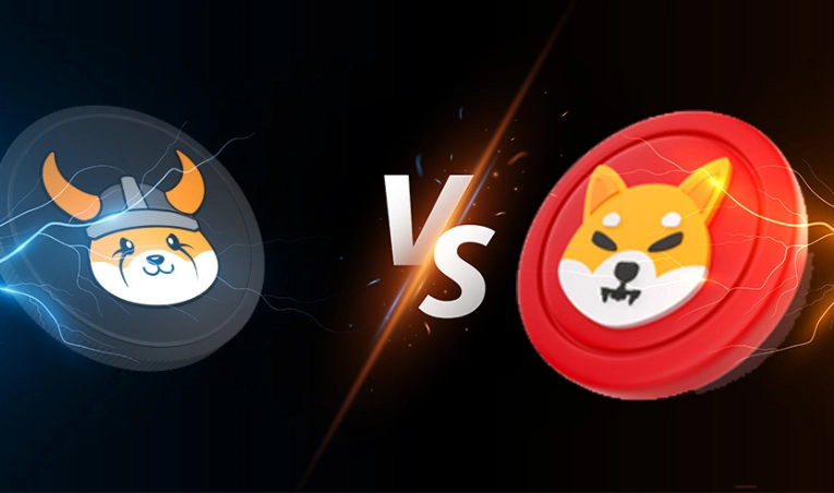 مقایسه شیبا اینو و فلوکی