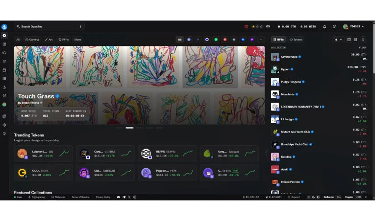 محیط اوپن سی