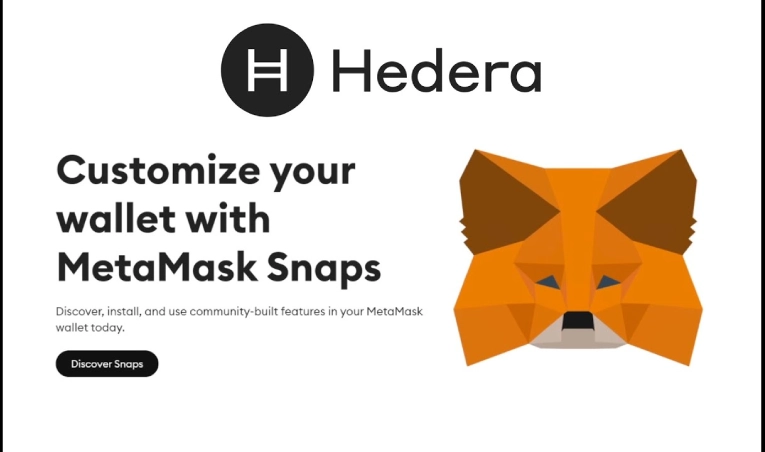 متامسک مناسب برای HBAR