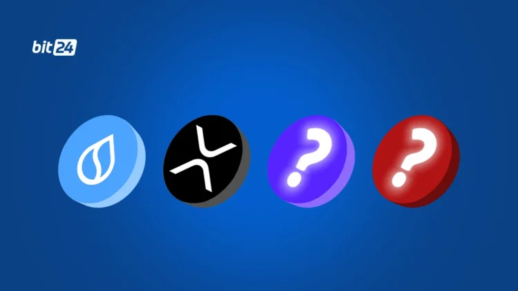 واچ لیست هفته اول دی ماه