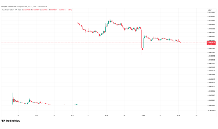 آینده ارز FEG چگونه ارزیابی میشود؟