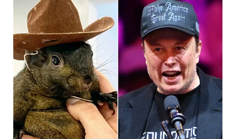 دلایل محبوبیت ارز پینات در بین مردم چیست؟