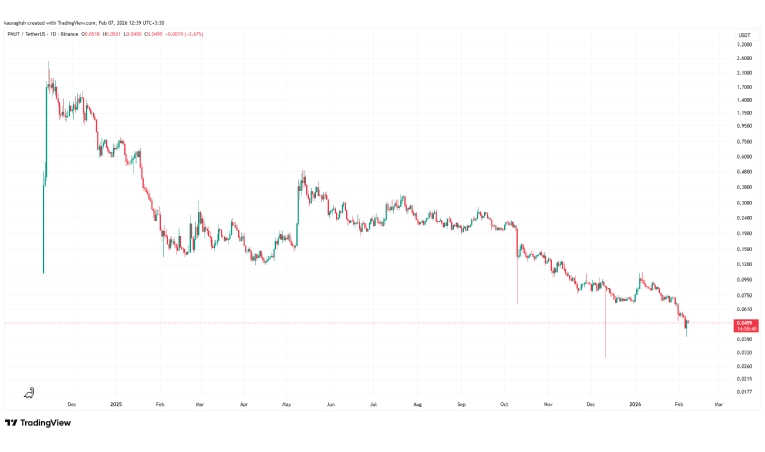 آینده ارز پینات چگونه ارزیابی می‌شود؟