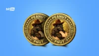 ارز دیجیتال پینات چیست؟ | معرفی کامل توکن PNUT